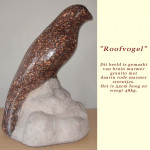 Roofvogel